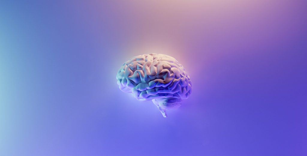 Human brain floating on blue background
