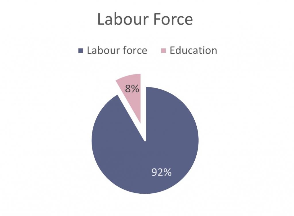 Chart showing percentage of education sector by teaching role